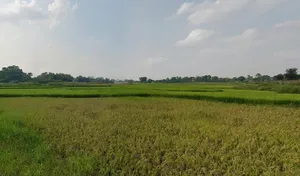 9CHP+CJ, Tatisilwai, Jharkhand 835103, India preview 3