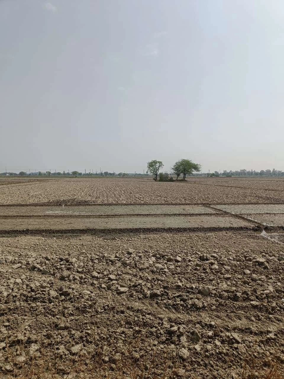 Aou, Rajasthan, India