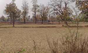 Khamtarai, Chhattisgarh 495006, India preview 3