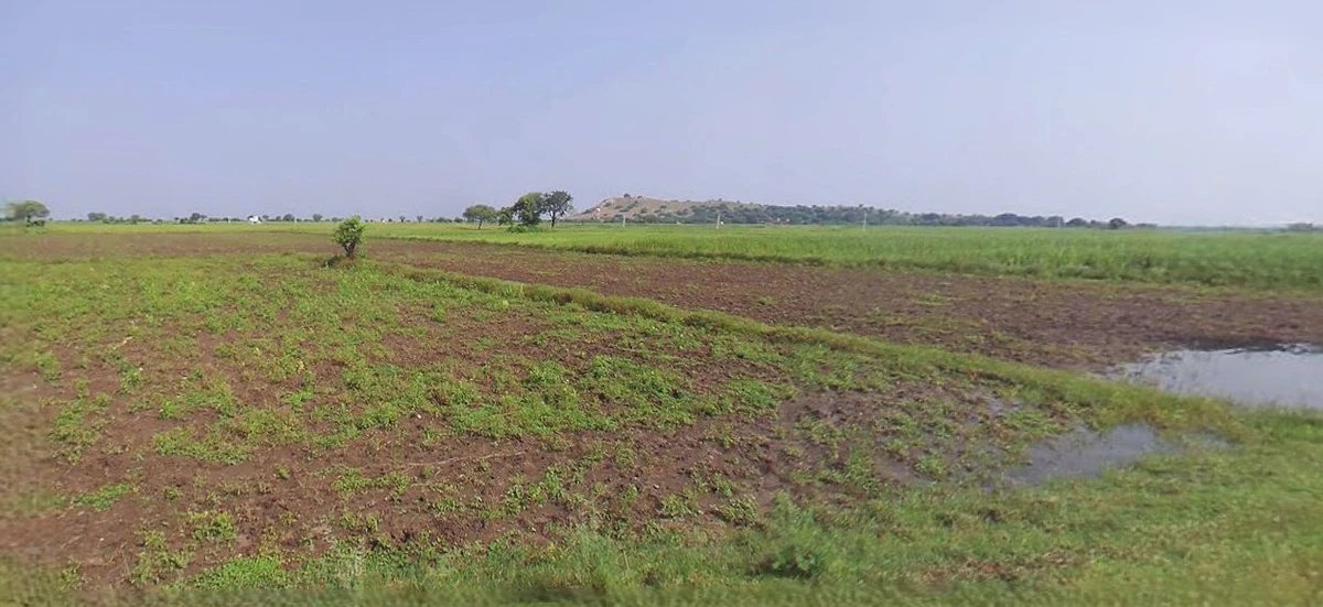 Anupgarh, Rajasthan 335701, India