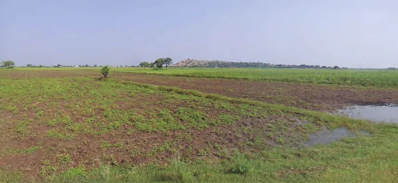 Anupgarh, Rajasthan 335701, India preview 2