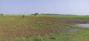 Anupgarh, Rajasthan 335701, India preview 2