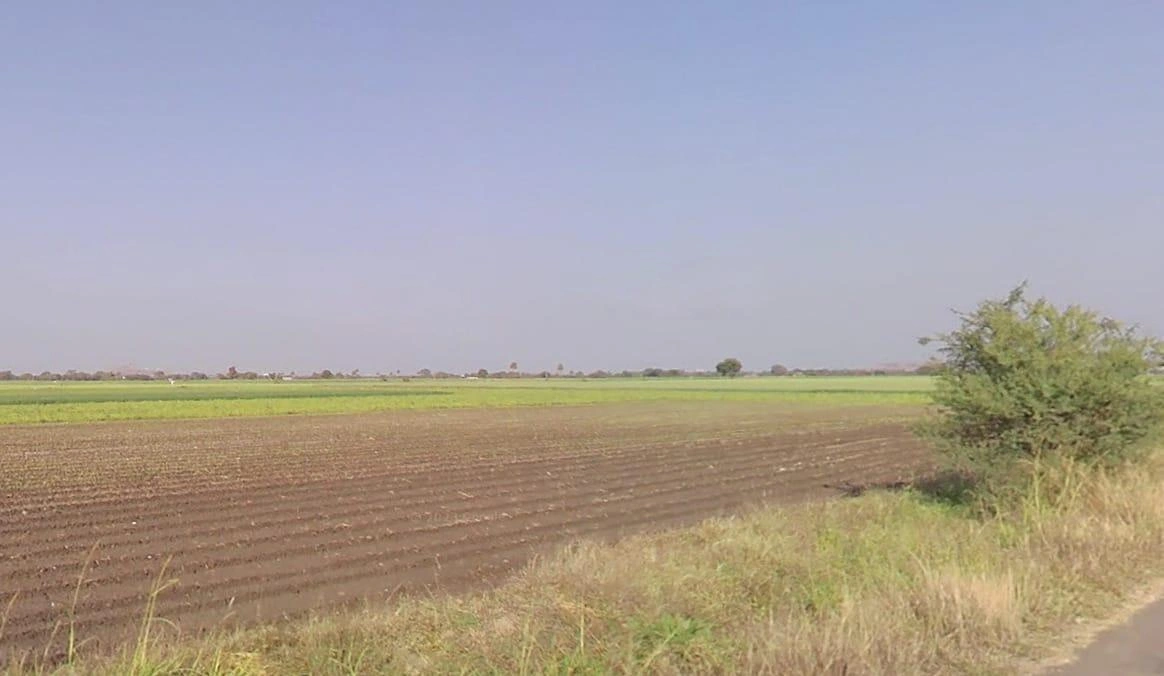 Sankheda, Madhya Pradesh 461111, India