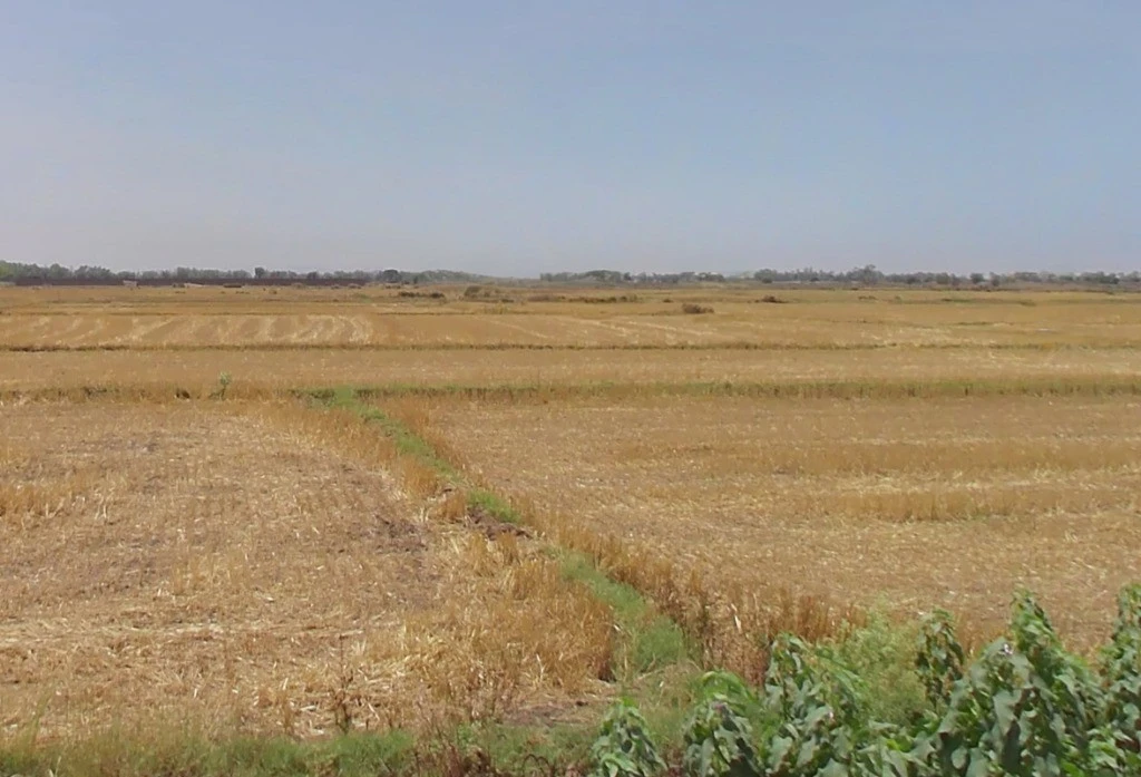 Anandgaon, Chhattisgarh 491332, India