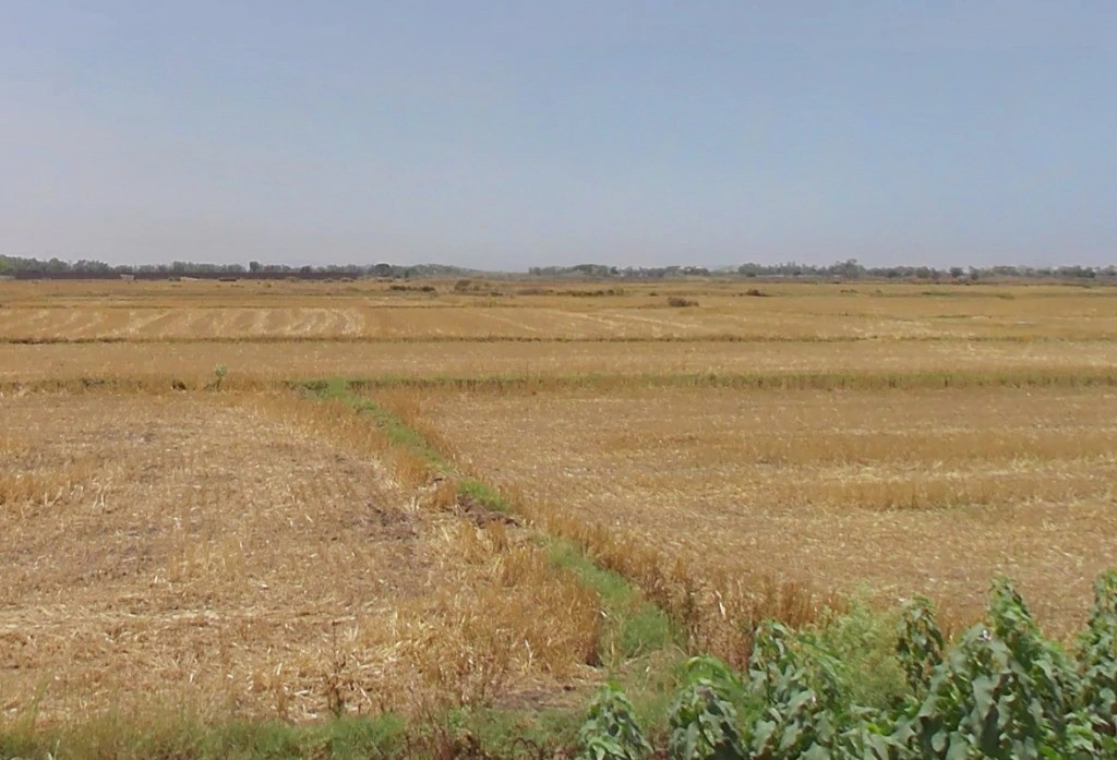 Anandgaon, Chhattisgarh 491332, India