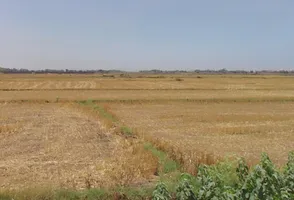 Anandgaon, Chhattisgarh 491332, India preview 3