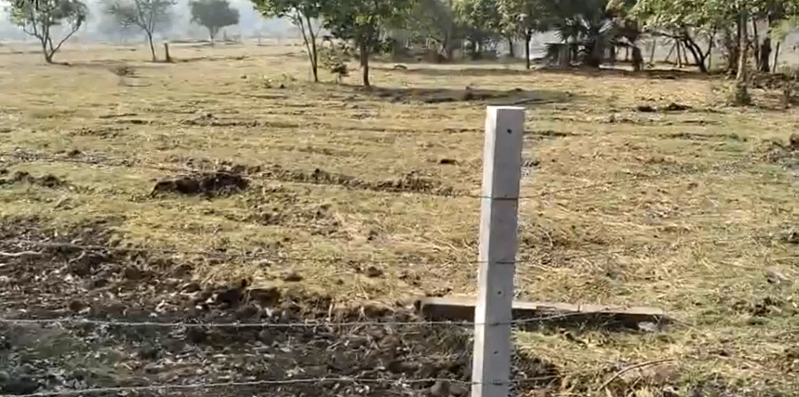 PWP8+GHG, Palghar, Nandgaon T. Manor, Maharashtra 401403, India