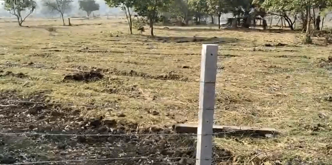 PWP8+GHG, Palghar, Nandgaon T. Manor, Maharashtra 401403, India - Photo 2