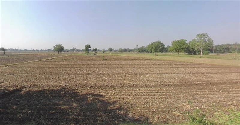 Jakhan, Gujarat 363421, India