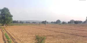 Alwar, Rajasthan, India preview 3