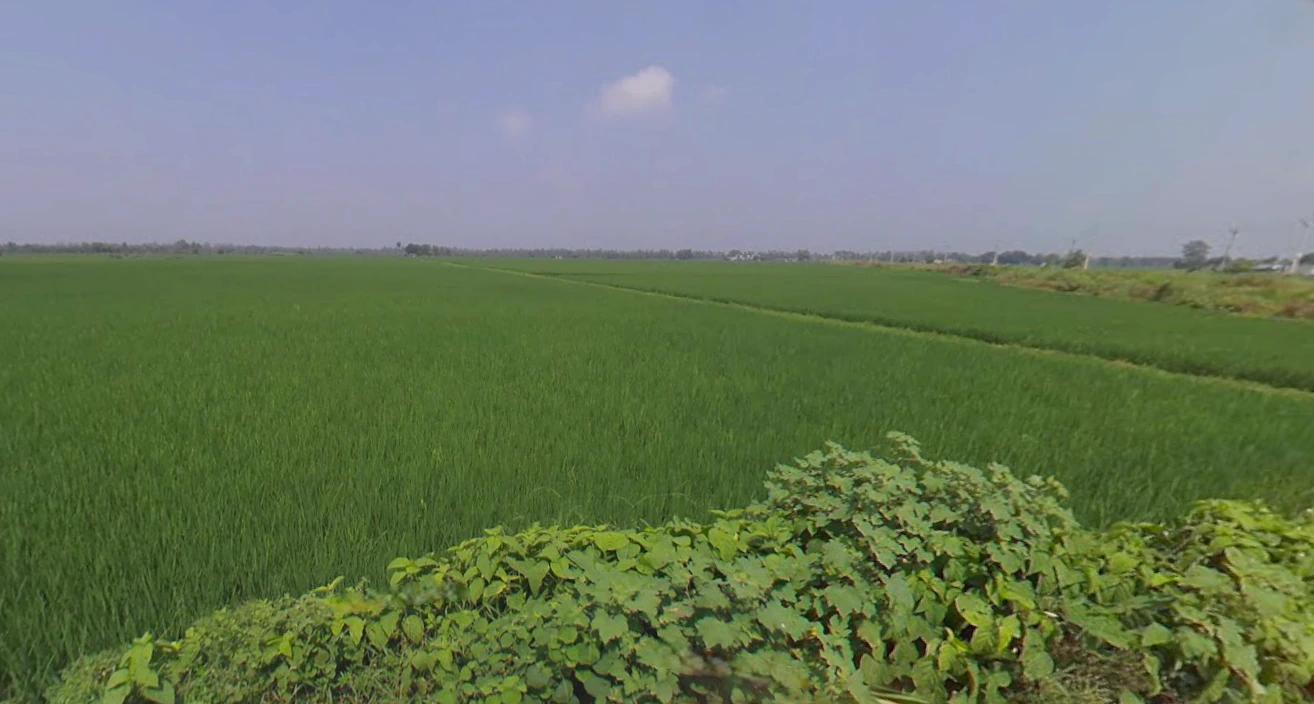 Chatkali, Uttar Pradesh, India