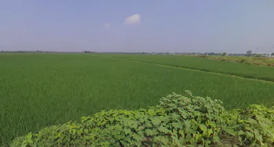 Chatkali, Uttar Pradesh, India preview 3