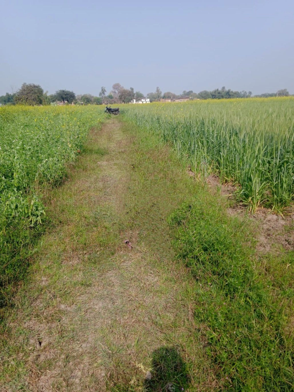 Mahokhar, Uttar Pradesh 210001, India preview 3
