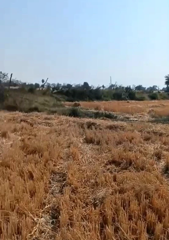 CXXG+VJQ, Ujjain, Dabdarajput, Madhya Pradesh 456668, India