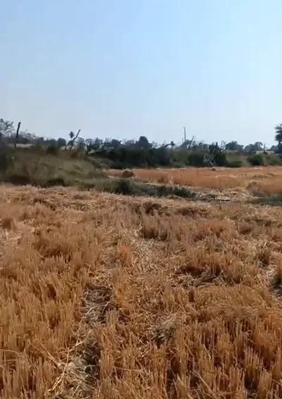 CXXG+VJQ, Ujjain, Dabdarajput, Madhya Pradesh 456668, India preview 3
