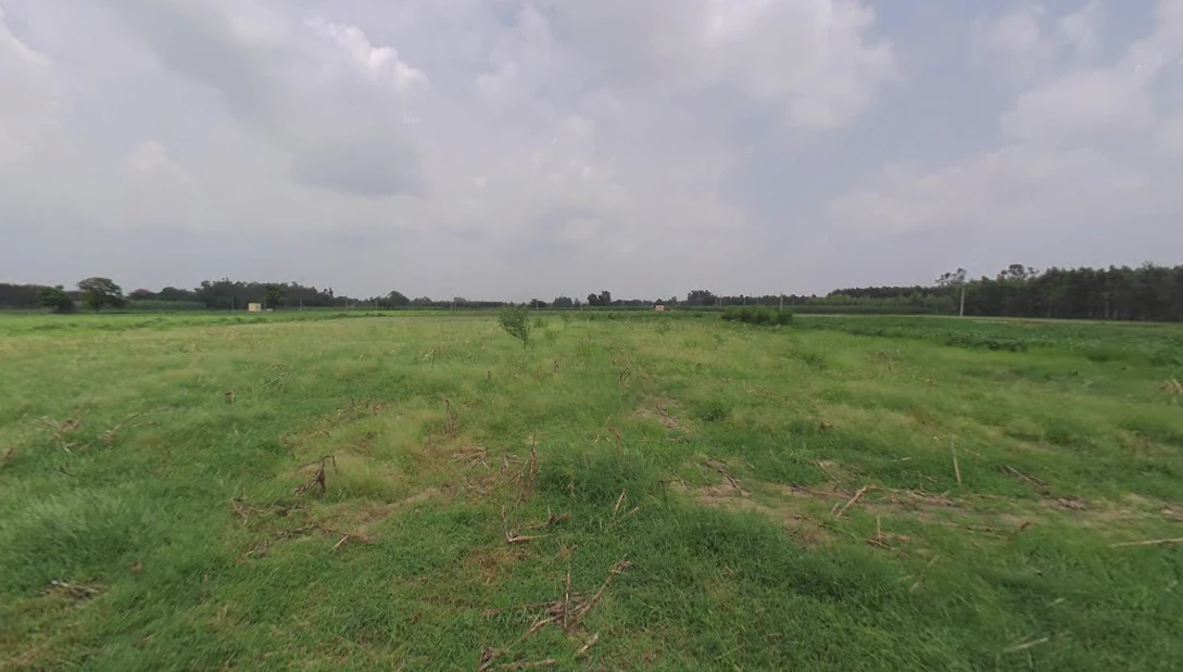 Mansa, Punjab 151505, India