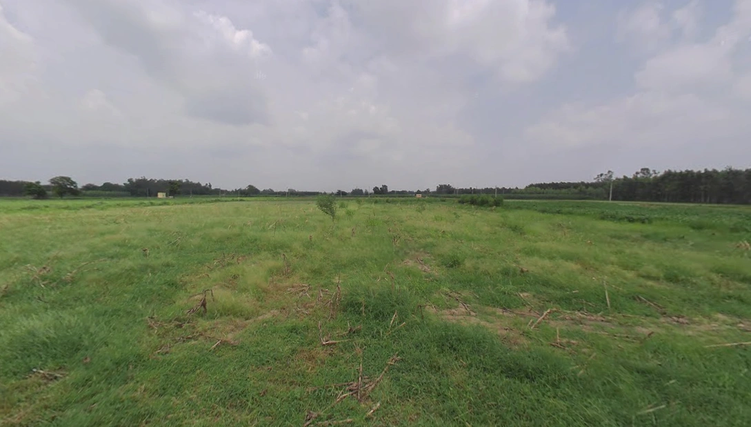 Mansa, Punjab 151505, India