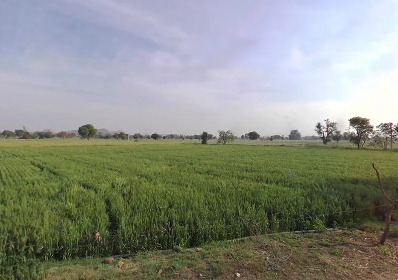 Seetal, Rajasthan 301021, India preview 3