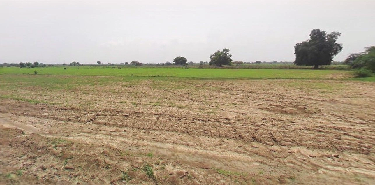 Puranpur, Uttar Pradesh 262122, India