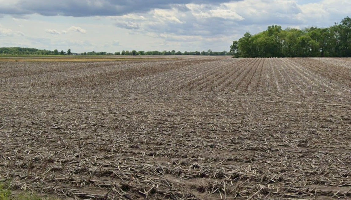 Bedavanya, Madhya Pradesh 456224, India