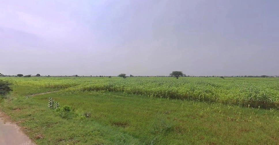 GCWX+7X3, Thanwala, Rajasthan 305026, India