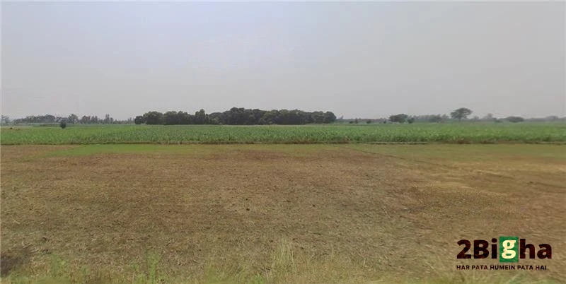 Hastinapur, Uttar Pradesh 250404, India