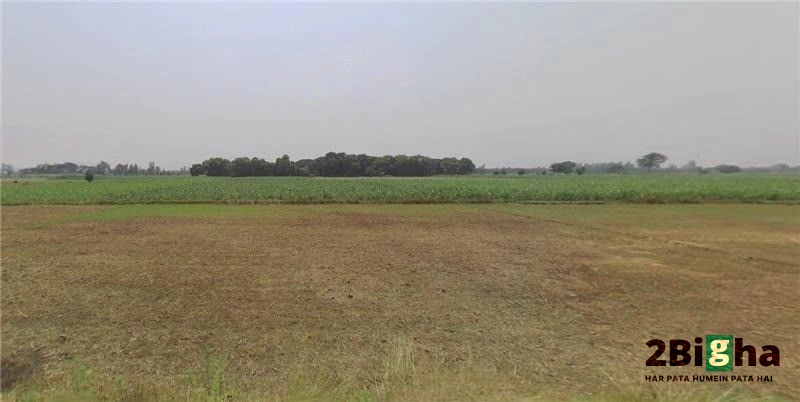 Hastinapur, Uttar Pradesh 250404, India