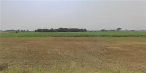 Hastinapur, Uttar Pradesh 250404, India preview 2