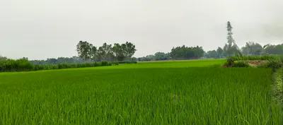 Sector 103, Gurugram, Haryana 122006, India preview 3