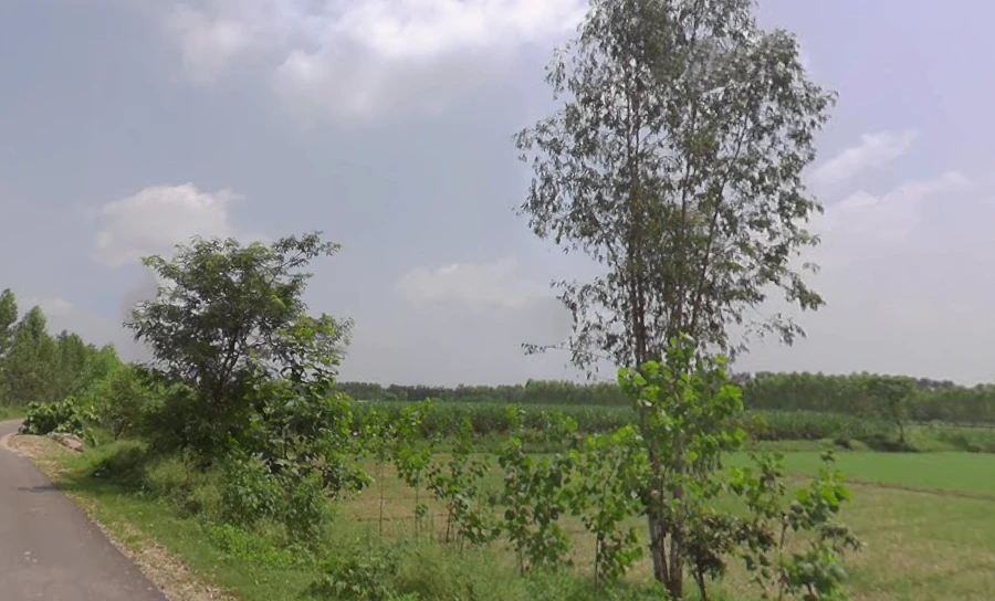Manjhipur, Uttar Pradesh 247129, India