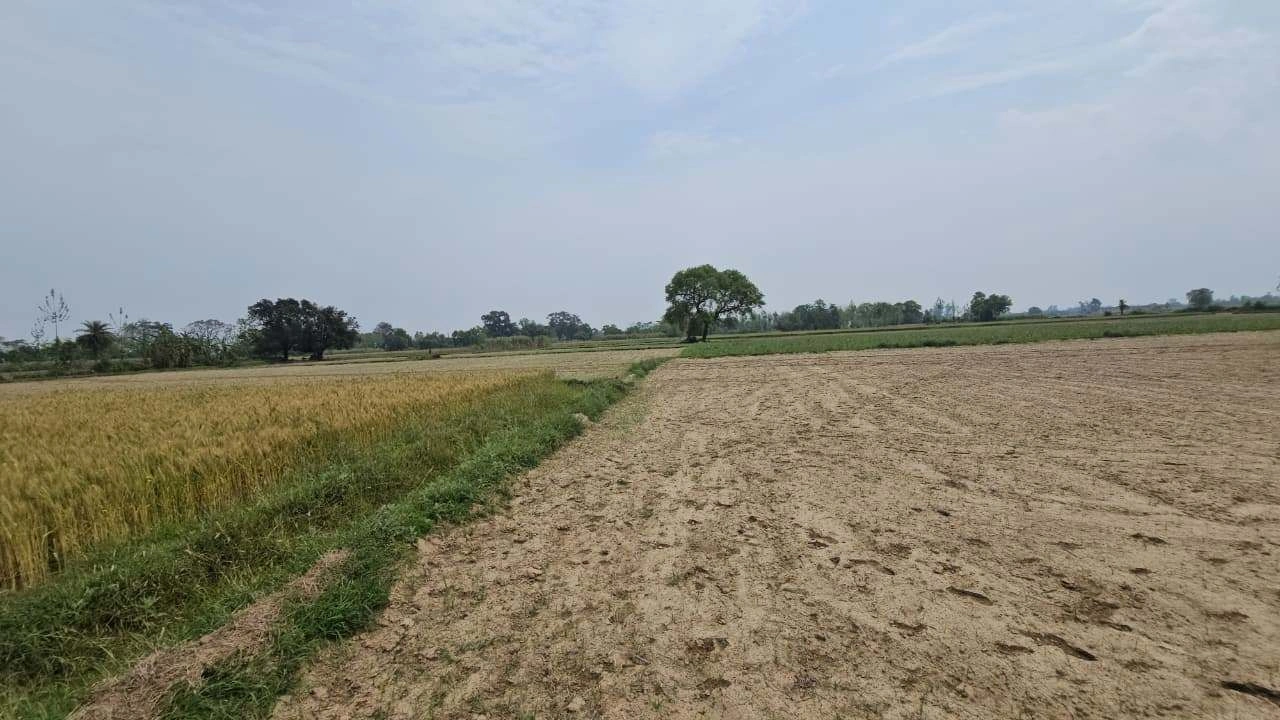 J759+2G5, Bithoor, Uttar Pradesh 209217, India