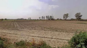 Raebareli, Uttar Pradesh, India preview 3