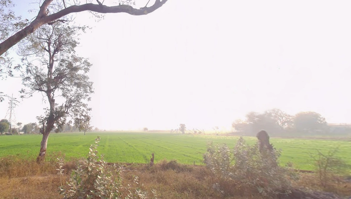 9JHW+7V Dholakuva, Gujarat, India