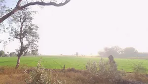 9JHW+7V Dholakuva, Gujarat, India preview 2