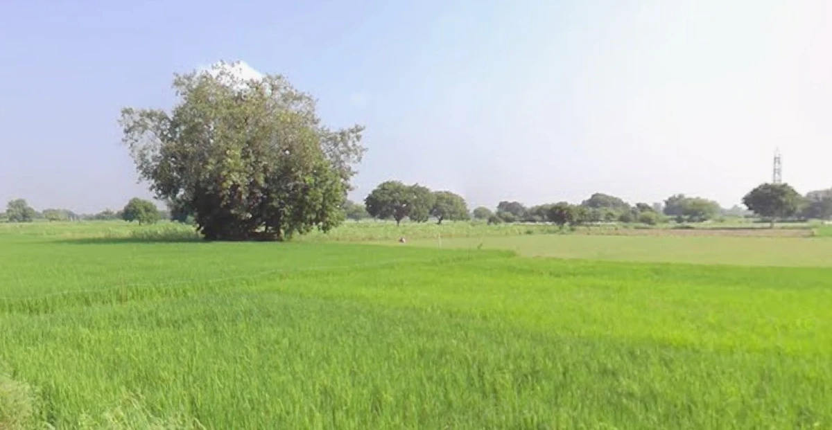 Dr. Ambedkar Nagar, Madhya Pradesh 453441, India