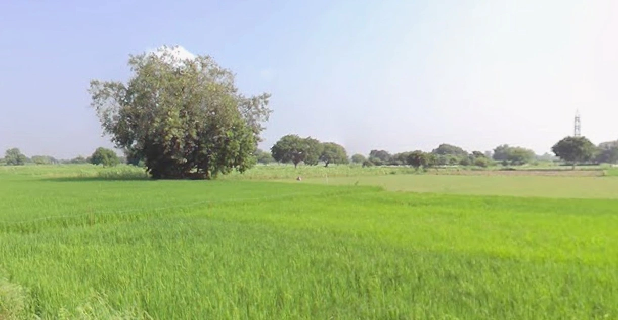 Dr. Ambedkar Nagar, Madhya Pradesh 453441, India