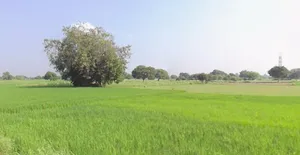Dr. Ambedkar Nagar, Madhya Pradesh 453441, India preview 3
