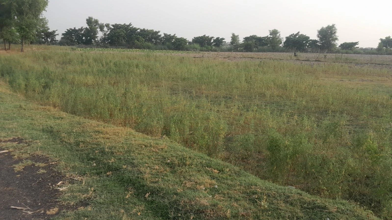 P622+J3 Sukkha Pur Etaura, Uttar Pradesh, India