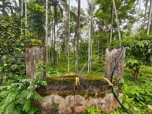 Q6M2+6CM, Pulpally, Kerala 673579, India