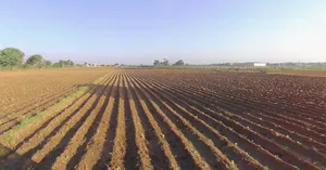 Lakadia, Gujarat 370145, India preview 2