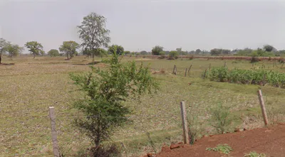 Thelkadih Rd, Chhattisgarh, India preview 2