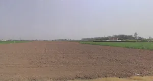 Hibana, Haryana 136135, India preview 3