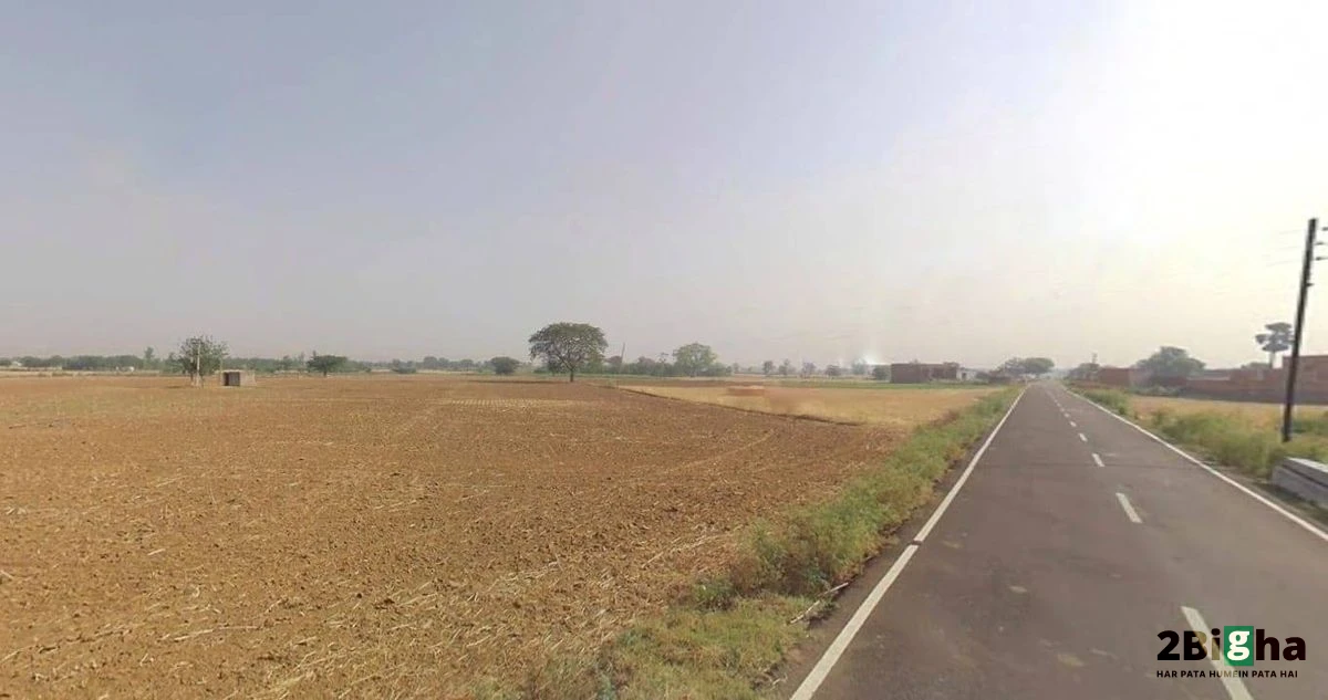 MDR104, Tiwari, Rajasthan 342306, India