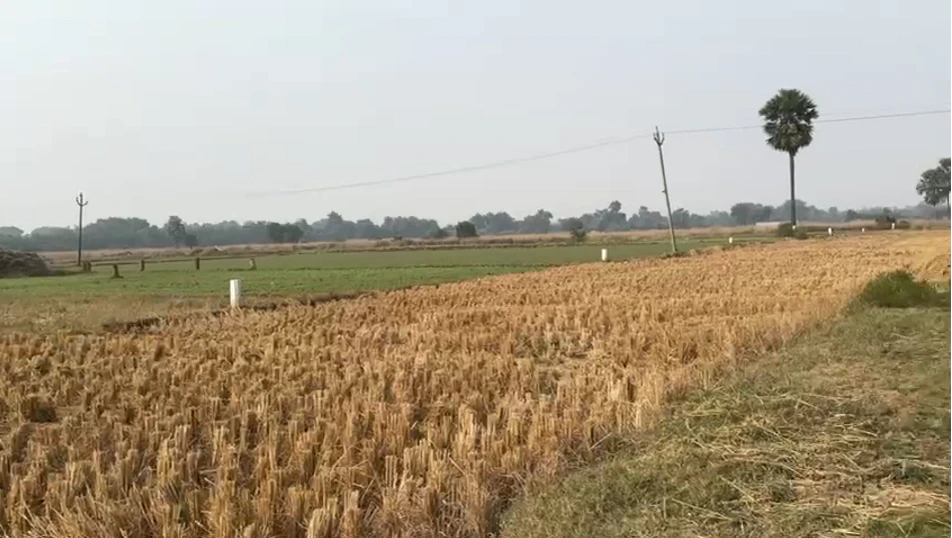 Baruna, Bihar, India