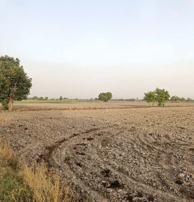 Sahibzada Ajit Singh Nagar, Punjab, India