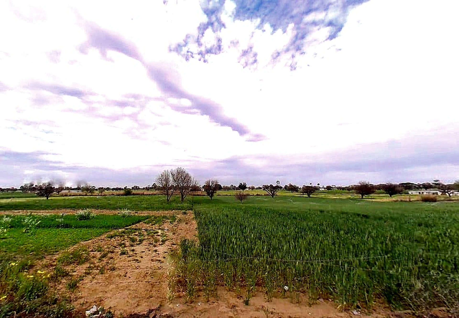 Khatoo, Rajasthan 332602, India