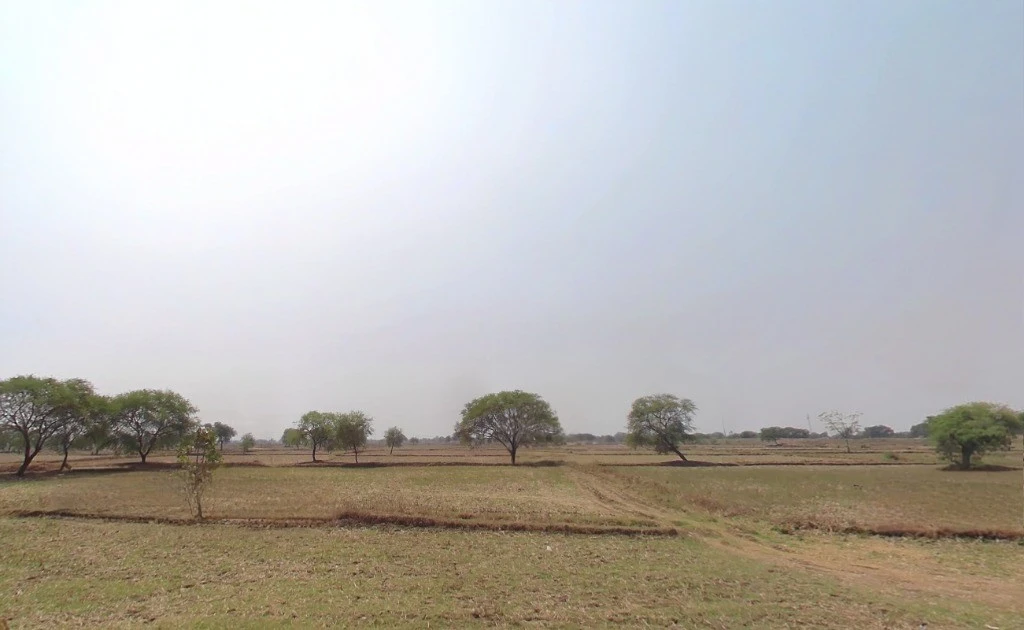 Gobaripat, Chhattisgarh 495113, India