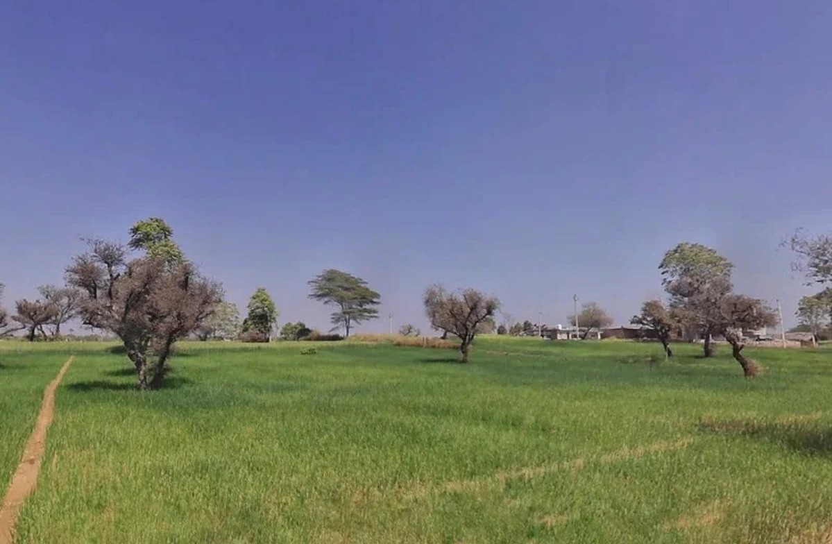 996Q+7MX, Khatoo, Rajasthan 332602, India