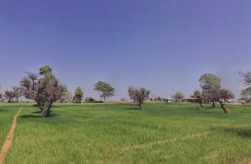 996Q+7MX, Khatoo, Rajasthan 332602, India preview 3