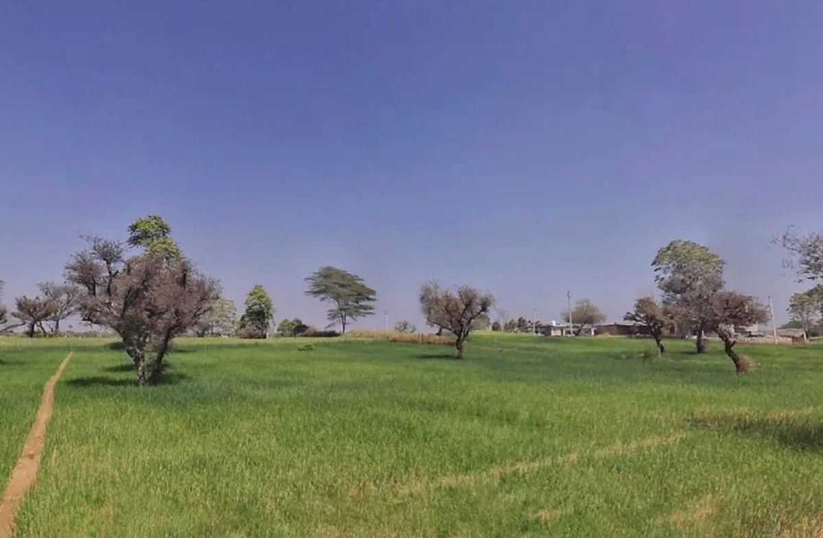 996Q+7MX, Khatoo, Rajasthan 332602, India